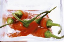 Chili peppers in glass of water — Stock Photo