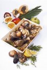 Closeup view of assorted shellfish and fruit — Stock Photo