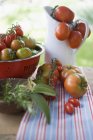 Verschiedene Arten von Tomaten — Stockfoto