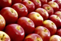 Manzanas rojas maduras - foto de stock