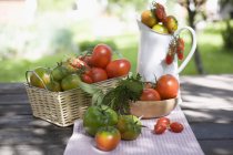 Различные типы помидоров — стоковое фото