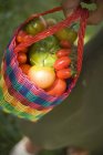 Tomaten verschiedener Sorten — Stockfoto