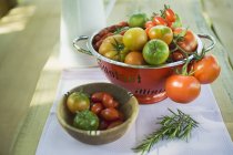 Various types of tomatoes — Stock Photo