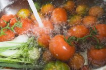 Lavagem de tomates e cebolinhas — Fotografia de Stock