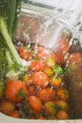 Tomaten und Frühlingszwiebeln waschen — Stockfoto