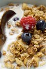 Crunchy muesli with berries — Stock Photo