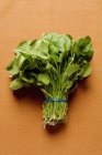 Mazzo di spinaci freschi — Foto stock