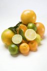 Assorted citrus fruits in heap with leaves — Stock Photo