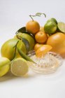 Assorted citrus fruit with squeezer — Stock Photo