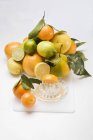 Assorted citrus fruits with squeezer — Stock Photo