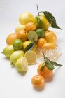 Assorted citrus fruits in heap — Stock Photo