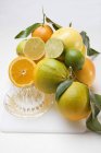Assorted citrus fruits and squeezer — Stock Photo