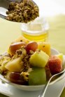 Muesli with fruits and cereal flakes — Stock Photo