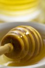 Wooden Honey dipper — Stock Photo