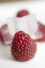 Closeup view of fresh ripe raspberry with ice cube on background — Stock Photo