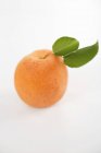 Fresh apricot with leaves — Stock Photo