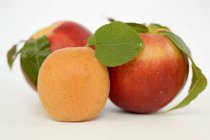 Fresh Nectarines and apricot — Stock Photo