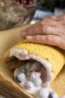 Крупный план обрезанный вид рулона рулона рулона ручной работы — стоковое фото