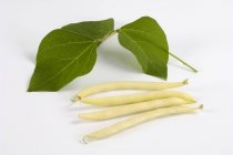 Fresh wax beans with leaves — Stock Photo
