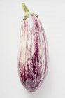 Свіжий фіолетовий і білий смугастий баклажан — стокове фото