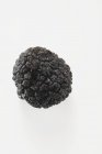 Truffe noire fraîche — Photo de stock