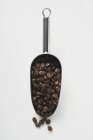 Кофейные зерна в металлическом совок — стоковое фото