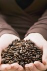 Женские руки держат кофейные зерна — стоковое фото