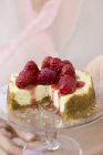 Mini-cheesecake with raspberries — Stock Photo