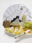Сырные тарелки с виноградом — стоковое фото