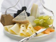 Piatto di formaggio con uva — Foto stock