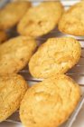 Kekse aus weißer Schokolade — Stockfoto