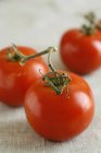 Tre pomodori rossi — Foto stock