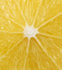 Cut surface of lemon — Stock Photo