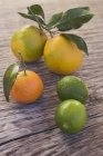 Fresh citrus fruits — Stock Photo