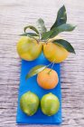 Fresh citrus fruits — Stock Photo