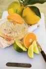 Fresh sliced citrus fruits — Stock Photo