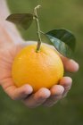 Рука тримає апельсин з листям — стокове фото