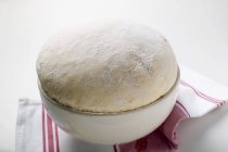 Closeup view of fresh yeast dough in a bowl — Stock Photo
