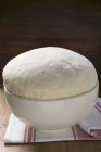 Primo piano vista della pasta di lievito fresco in una ciotola — Foto stock