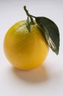 Свежий апельсин с листом — стоковое фото