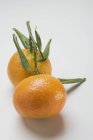 Свіжі стиглі мандарини клементини — стокове фото