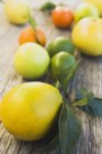 Assorted citrus fruits — Stock Photo