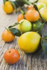 Fresh assorted citrus fruits — Stock Photo