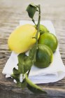 Frische Limetten und Zitrone — Stockfoto
