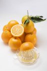 Fresh oranges and citrus squeezer — Stock Photo
