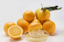 Oranges fraîches et pressoir d'agrumes — Photo de stock