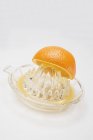 Meia laranja no espremedor de frutas cítricas — Fotografia de Stock