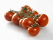 Rote Tomaten an der Rebe — Stockfoto