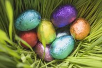 Chocolate eggs over grass — Stock Photo