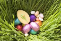 Dulces de Pascua en la hierba - foto de stock